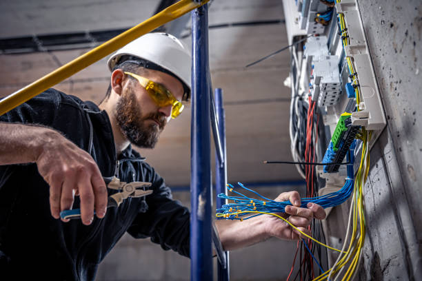 Best Electric Panel Repair  in Chenoa, IL