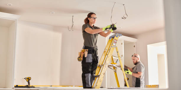 Best Generator Installation Services  in Chenoa, IL