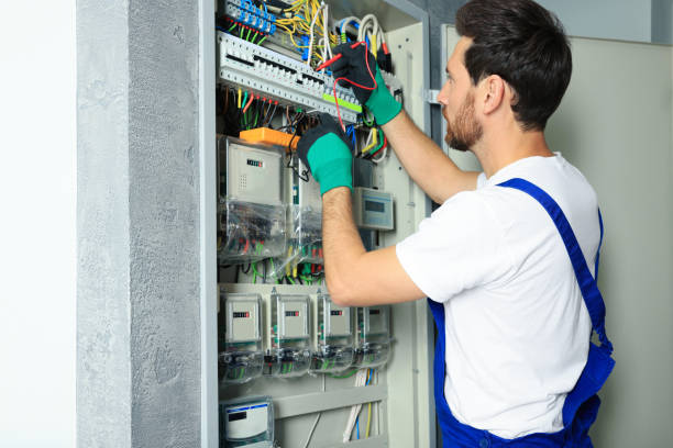 Best Electrical System Inspection  in Chenoa, IL