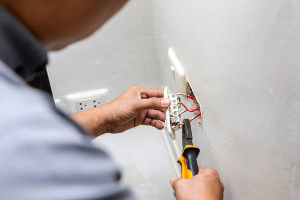 Best Ceiling Fan Installation Electrician  in Chenoa, IL