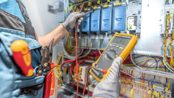Best Electrical System Inspection  in Chenoa, IL