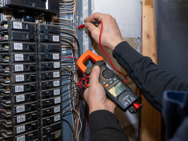 Best Electrician for Home Renovation  in Chenoa, IL