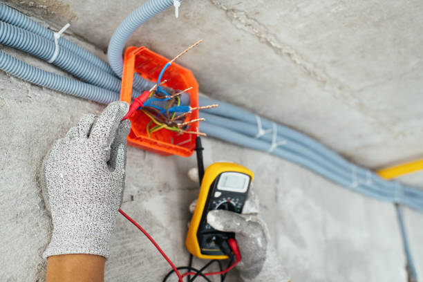 Best Local Electrician Companies  in Chenoa, IL