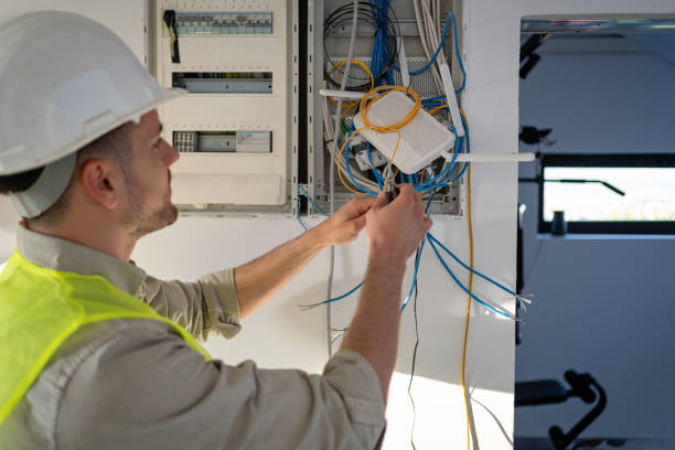 Best Ceiling Fan Installation Electrician  in Chenoa, IL