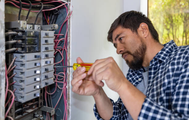 Best Industrial Electrical Services  in Chenoa, IL